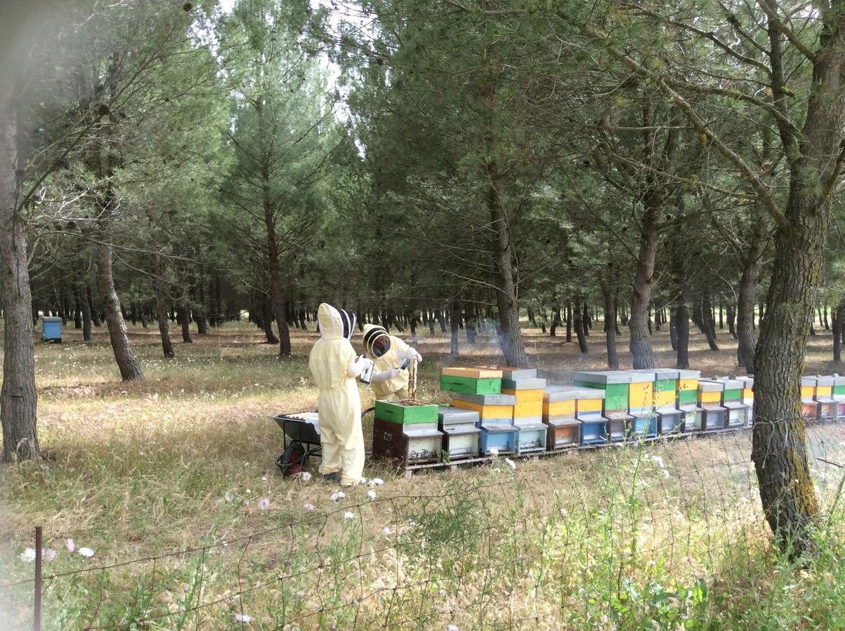 Perdaxius Agriturismo Gennemara B&B מראה חיצוני תמונה