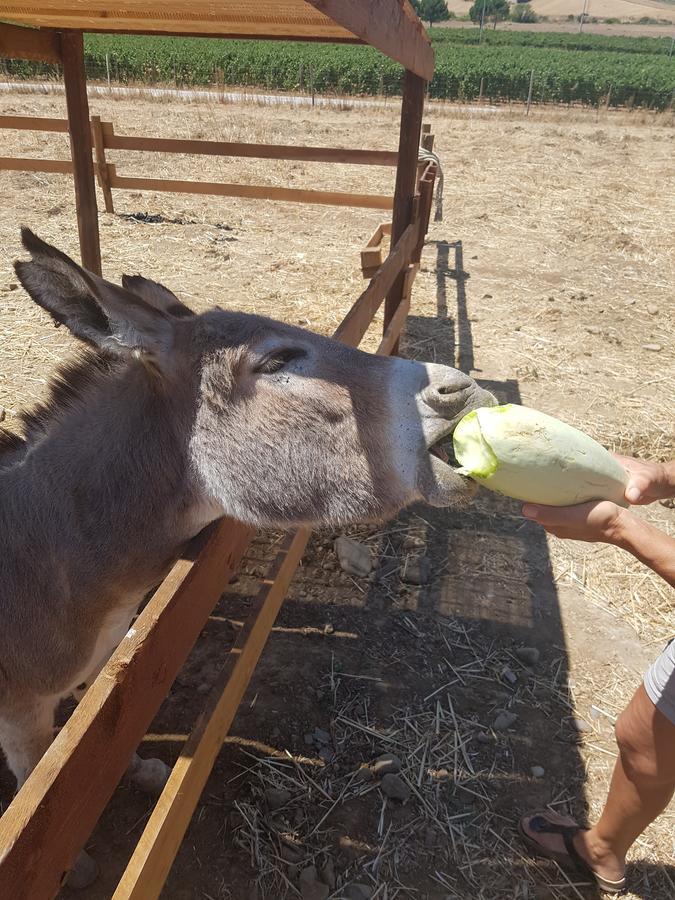 Perdaxius Agriturismo Gennemara B&B מראה חיצוני תמונה