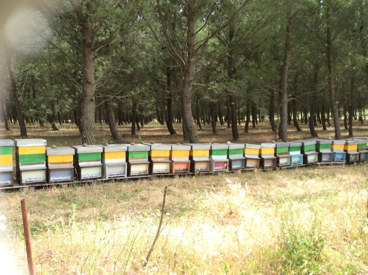 Perdaxius Agriturismo Gennemara B&B מראה חיצוני תמונה