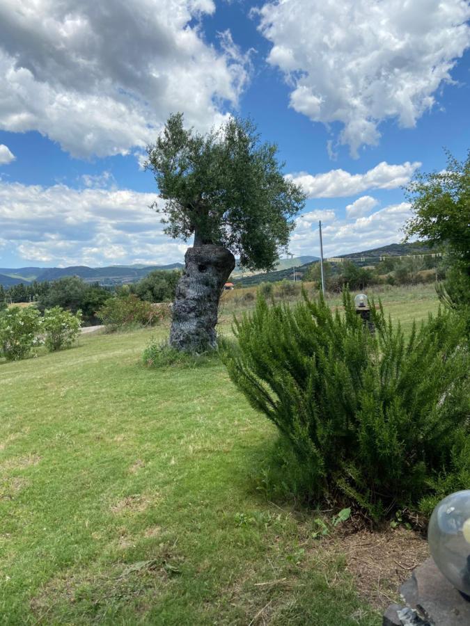 Perdaxius Agriturismo Gennemara B&B מראה חיצוני תמונה